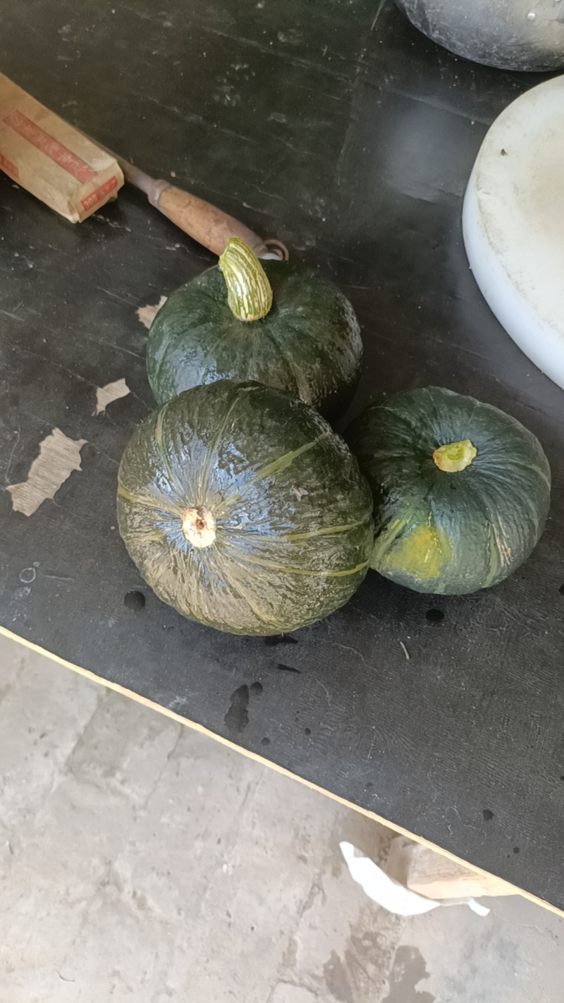 山地小贝贝南瓜
