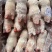 出售二级猪手14-18个10吨