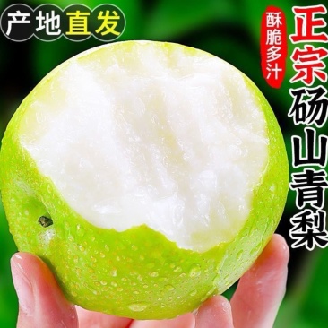 砀山皇冠梨