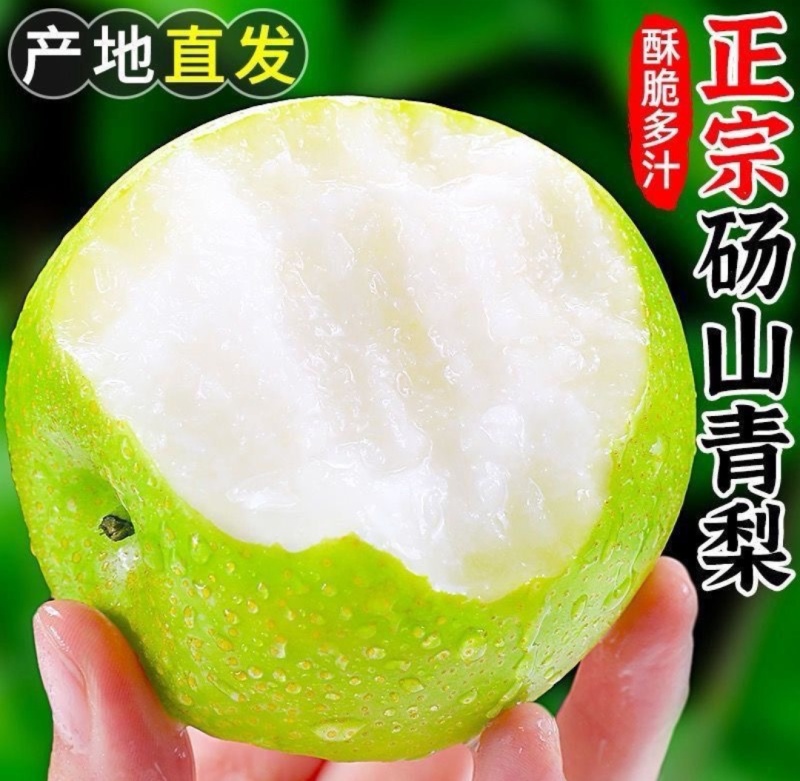 砀山皇冠梨