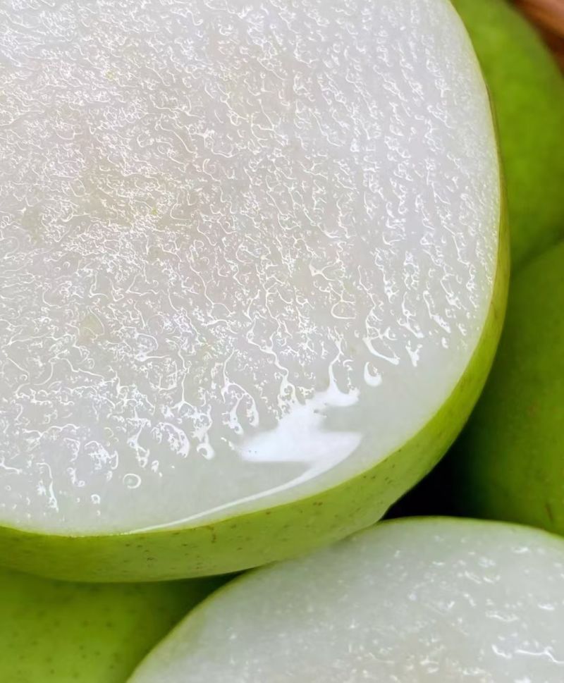 砀山皇冠梨