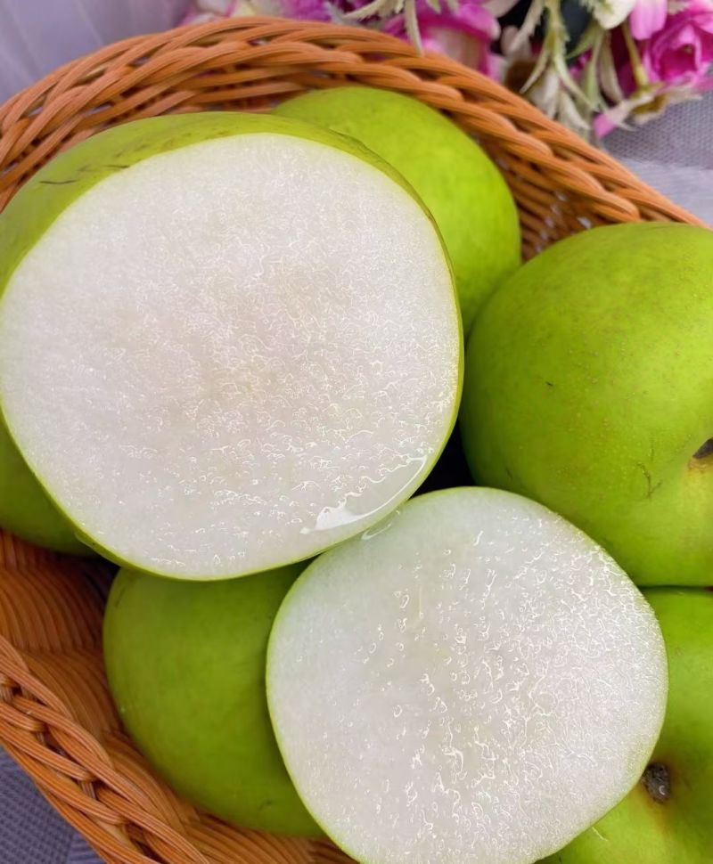 砀山皇冠梨