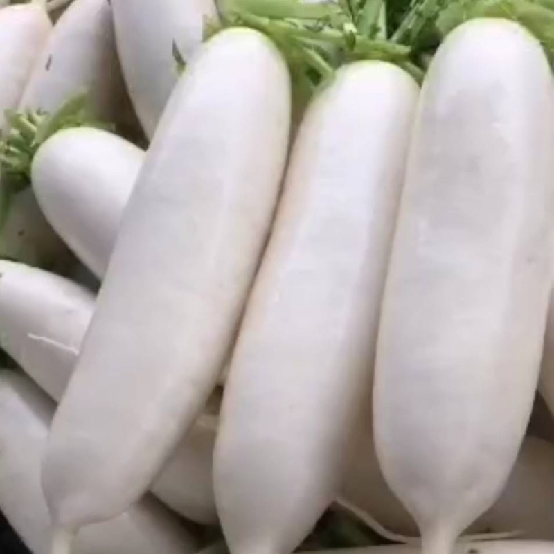 萝卜