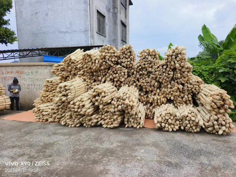 丝瓜络