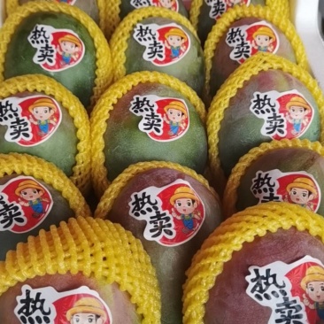 攀枝花凯特芒