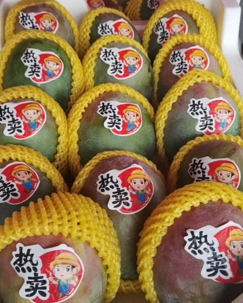 攀枝花凯特芒