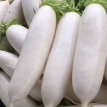 萝卜