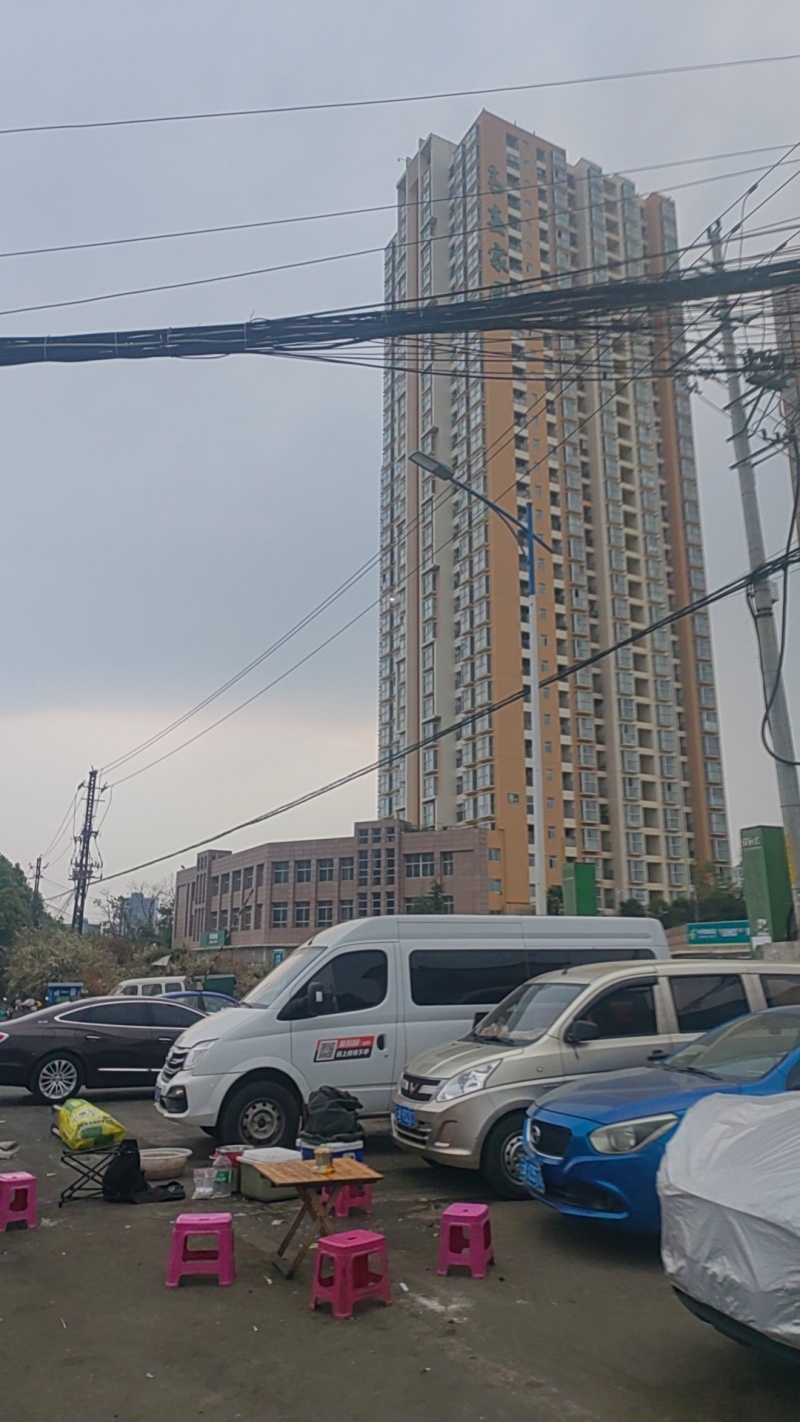 产于1500-2000米的昭通糖心苹果