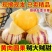 人参果接电商一件代发云南石林人参果树熟低糖水果