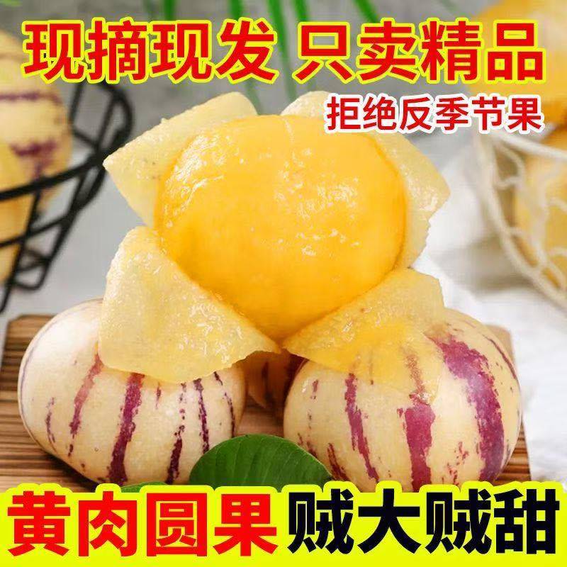 人参果接电商一件代发云南石林人参果树熟低糖水果