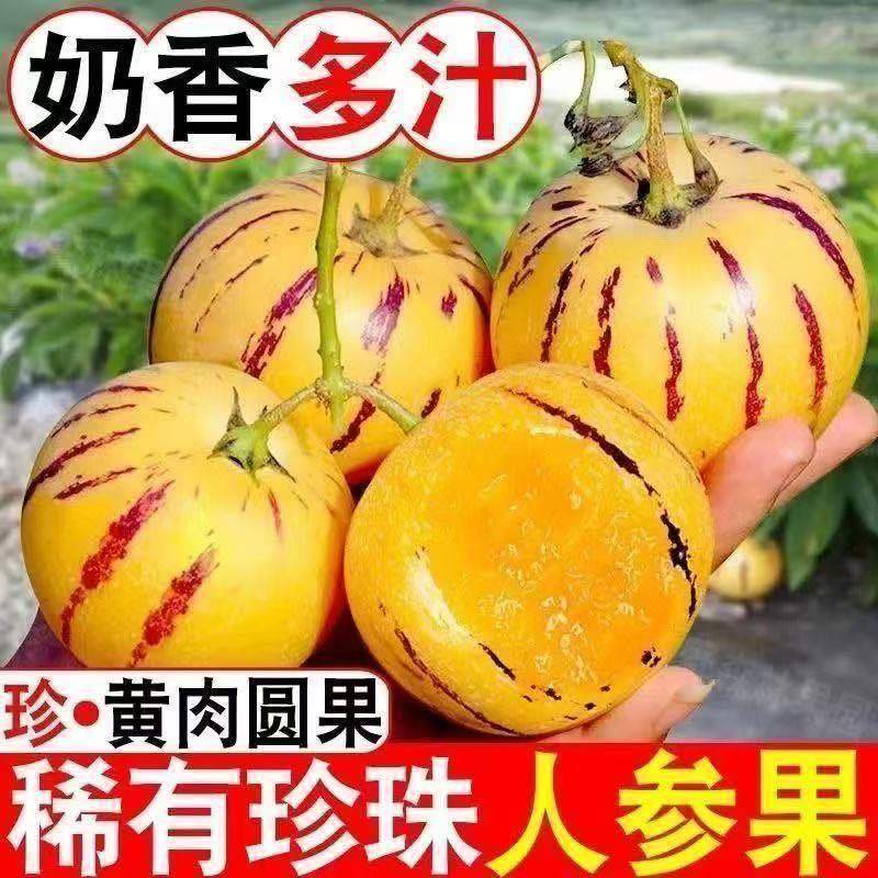 人参果接电商一件代发云南石林人参果树熟低糖水果