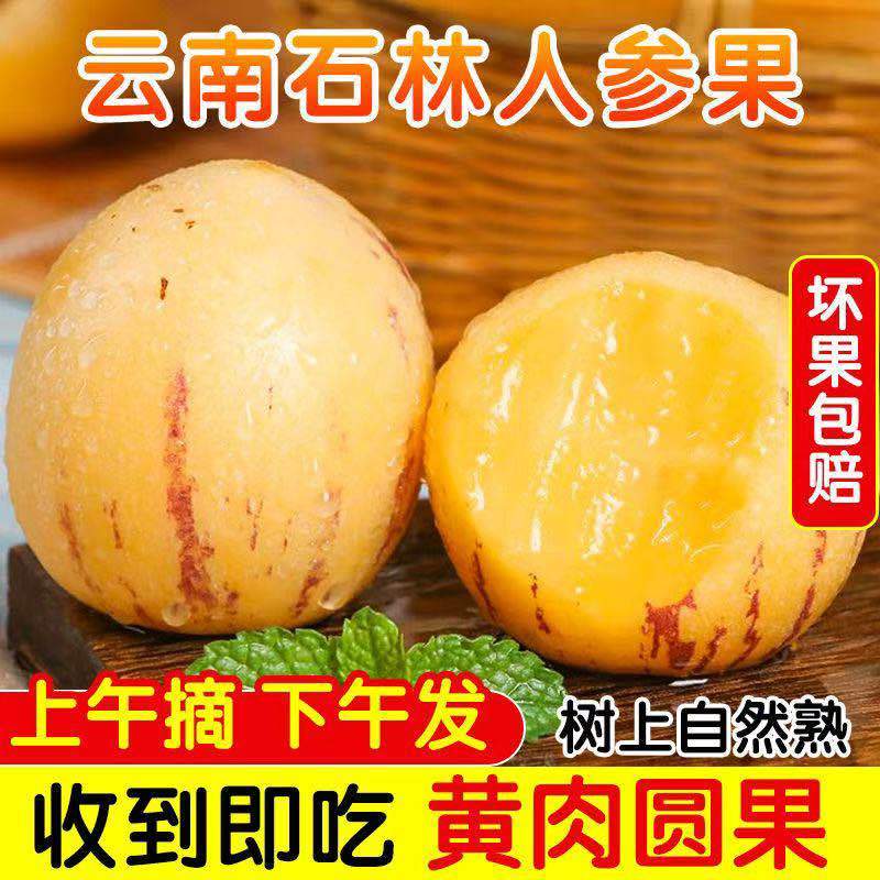 人参果接电商一件代发云南石林人参果树熟低糖水果