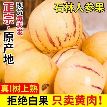 人参果接电商一件代发云南石林人参果树熟低糖水果
