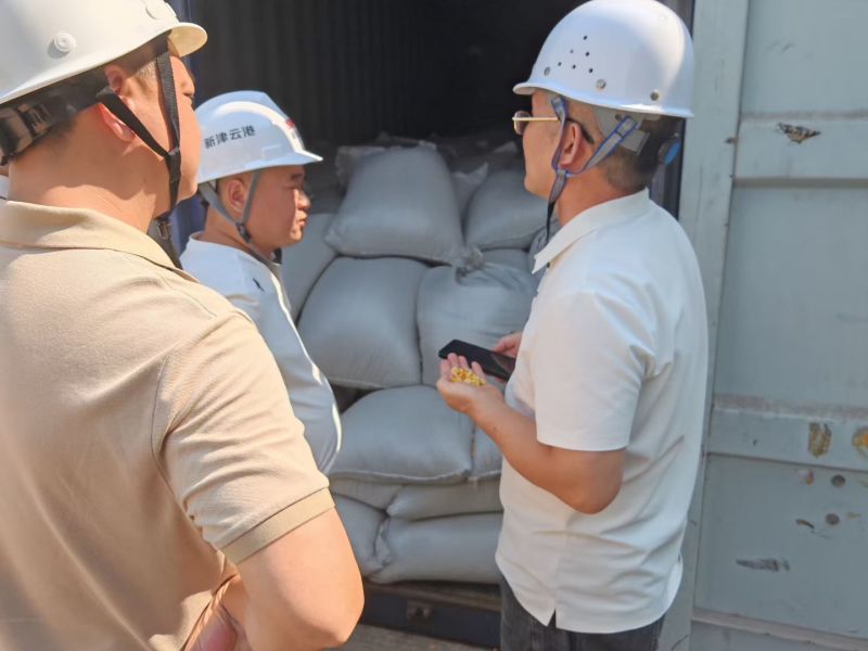 新疆玉米供应