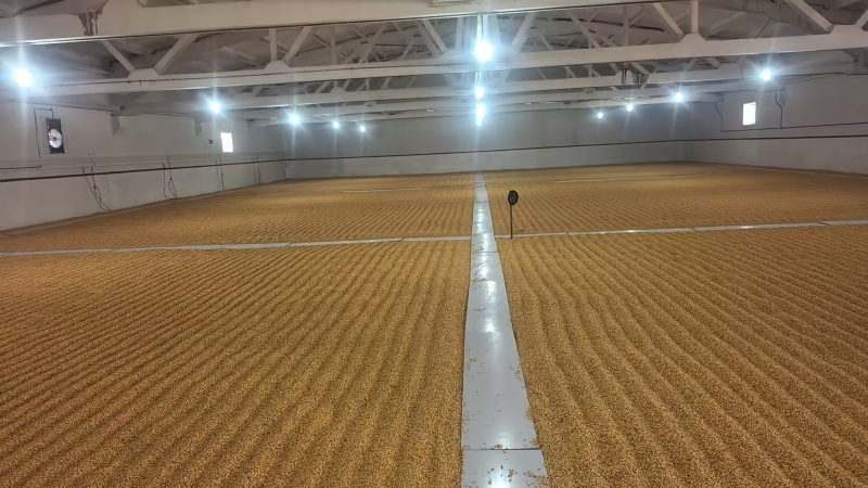 新疆玉米供应