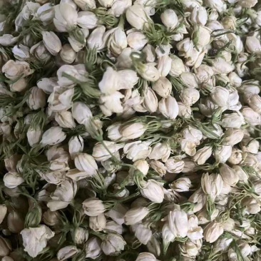横县茉莉花干