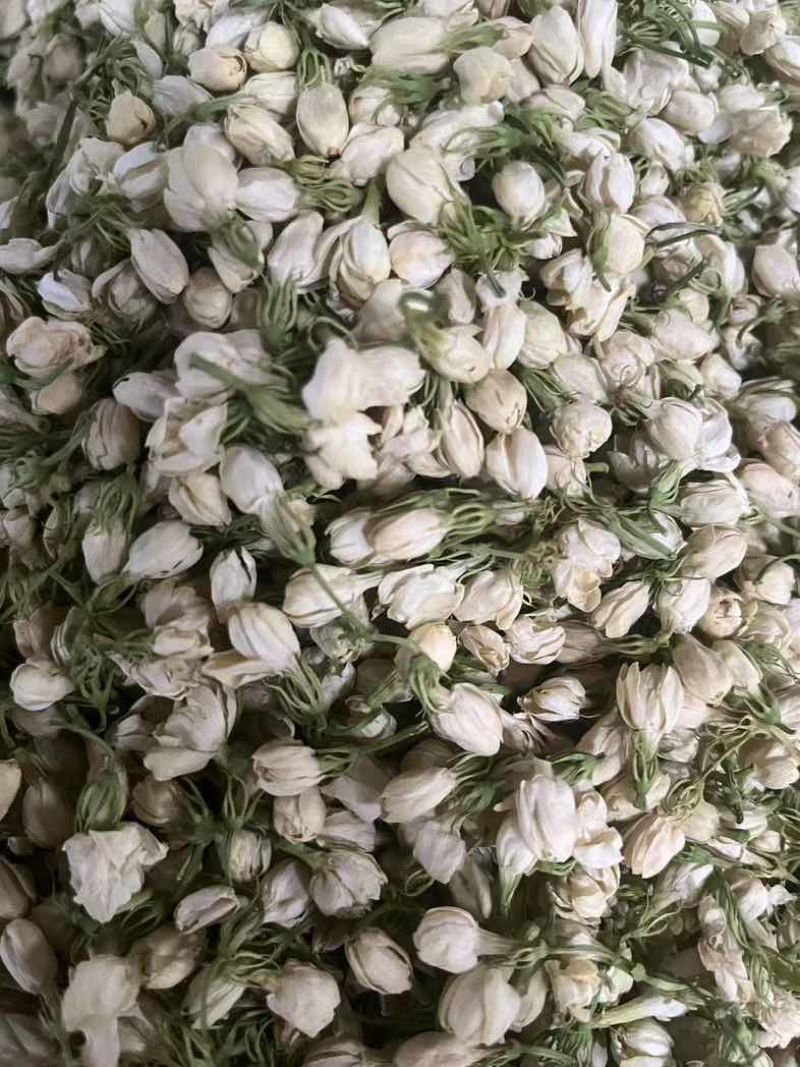 横县茉莉花干