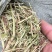 新草