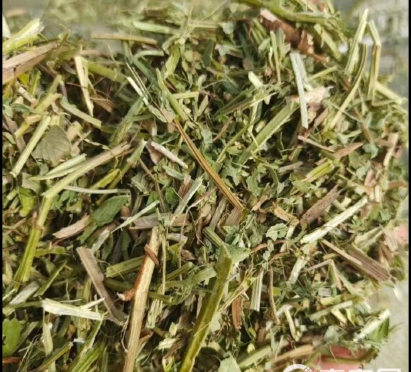 新草