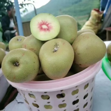 红心猕猴桃🥝