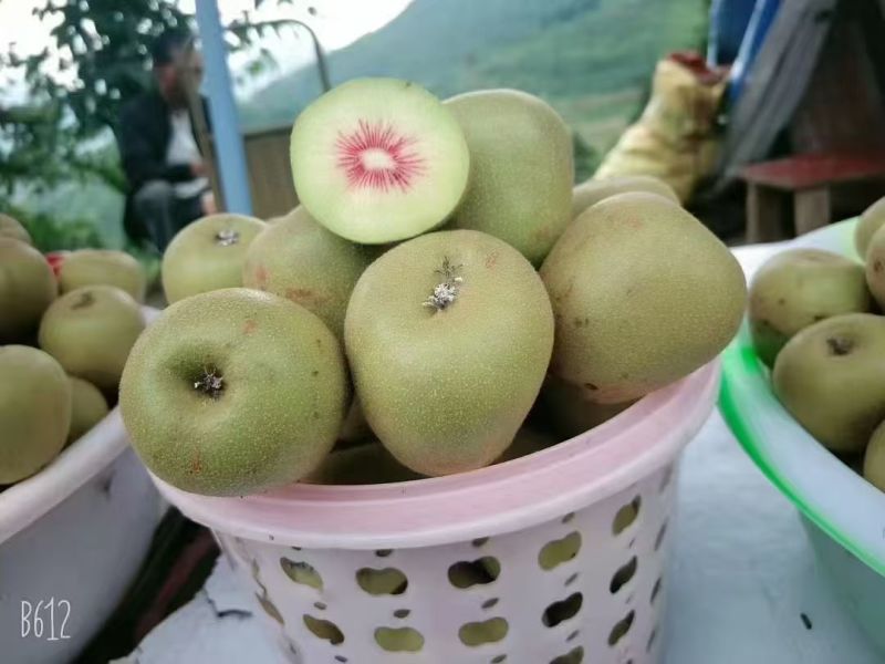 红心猕猴桃🥝
