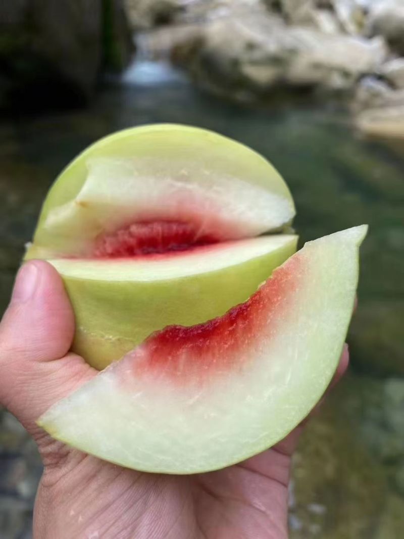 湖北宜昌秭归脆蜜桃