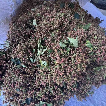 山东花椒大红袍