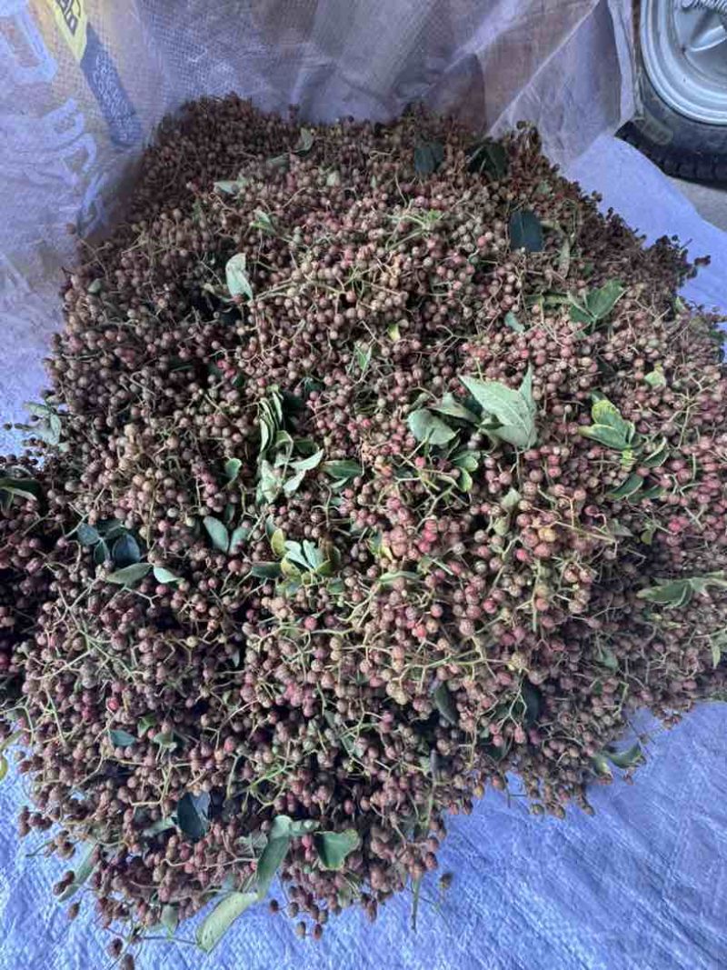 山东花椒大红袍