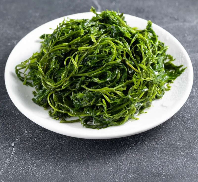 霞浦嫩鞭炮笋新鲜头茬盐渍长寿菜马尾藻海草商用火锅凉拌羹汤食材