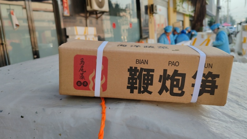 霞浦嫩鞭炮笋新鲜头茬盐渍长寿菜马尾藻海草商用火锅凉拌羹汤食材