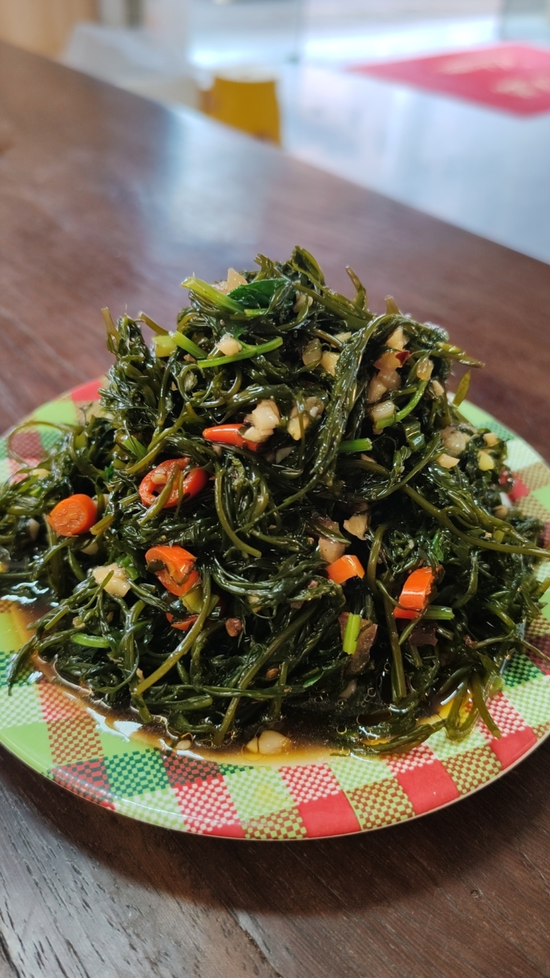霞浦嫩鞭炮笋新鲜头茬盐渍长寿菜马尾藻海草商用火锅凉拌羹汤食材