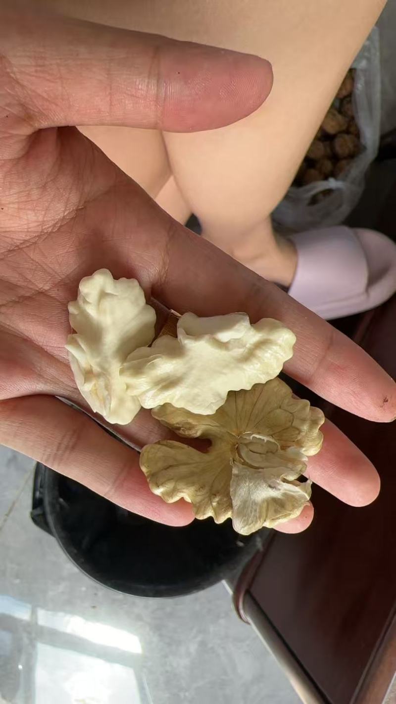 山地核桃
