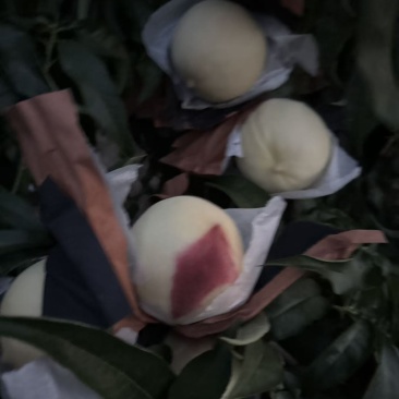 黄桃红桃