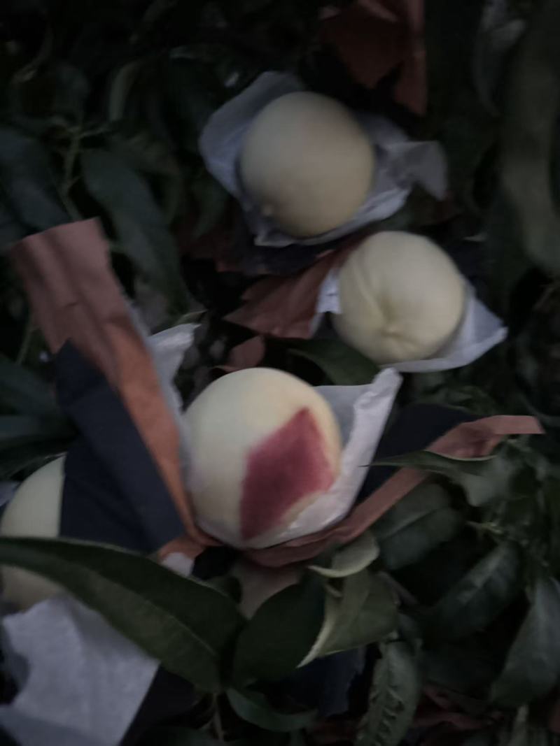 黄桃红桃