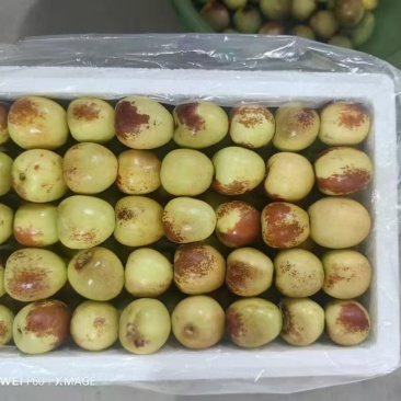 大荔冬枣产地直发