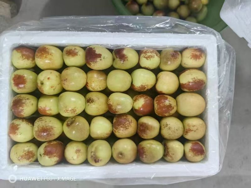 大荔冬枣产地直发