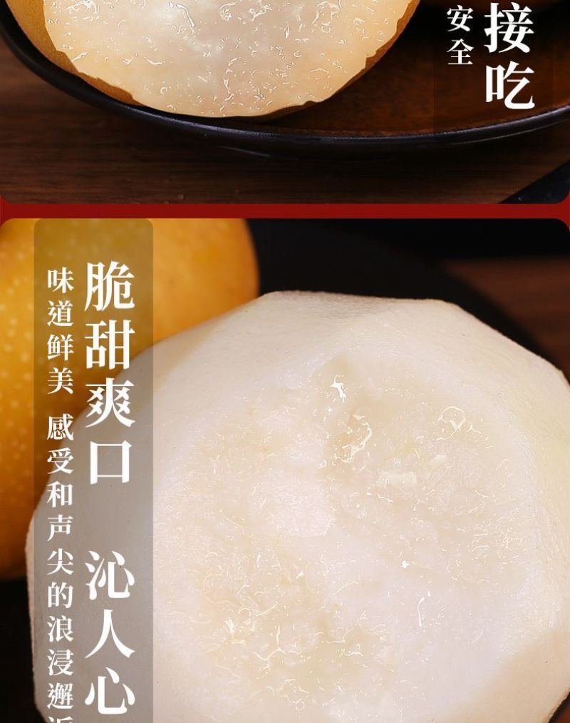 山东秋月梨