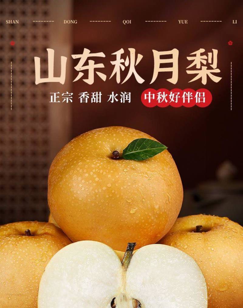 山东秋月梨