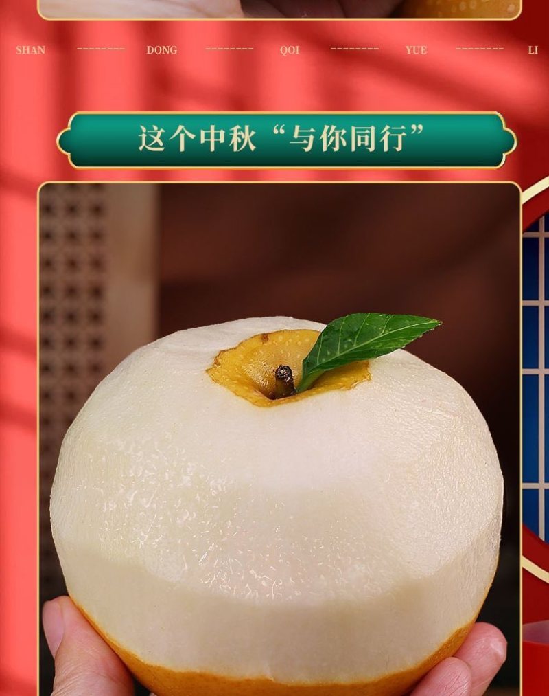 山东秋月梨
