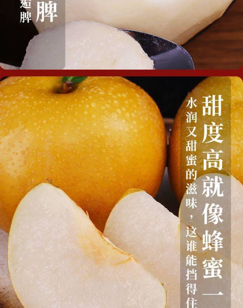 山东秋月梨