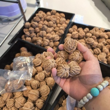 批发文玩核桃种类齐全支持视频看货论价视频现场封箱发货品质