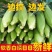 玉米