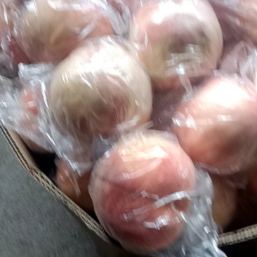 我想卖毛桃离核的