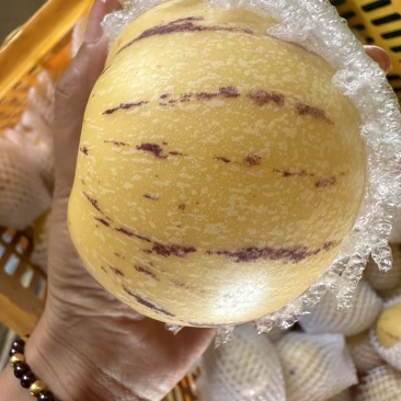 石林人参果