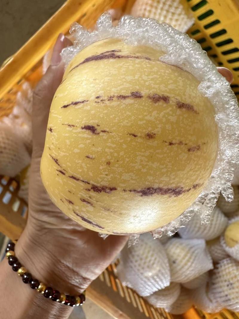 石林人参果