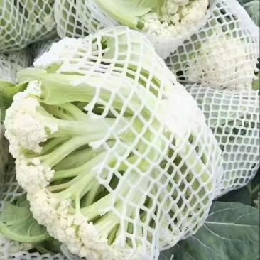 【花菜】松花菜菜花产地直发