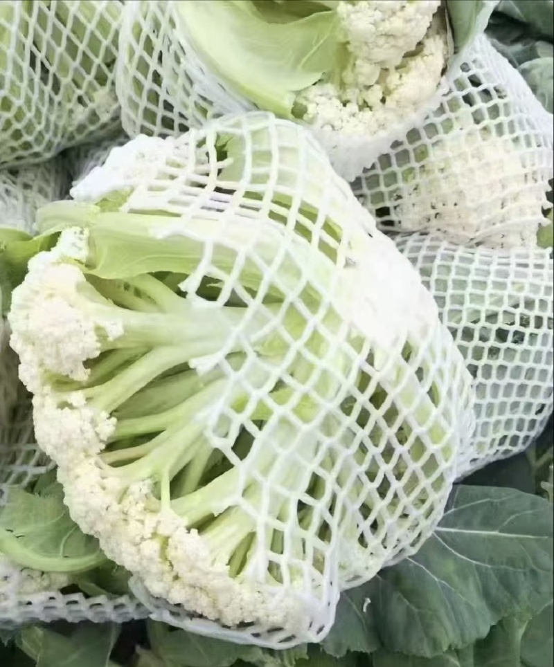 【花菜】松花菜菜花产地直发