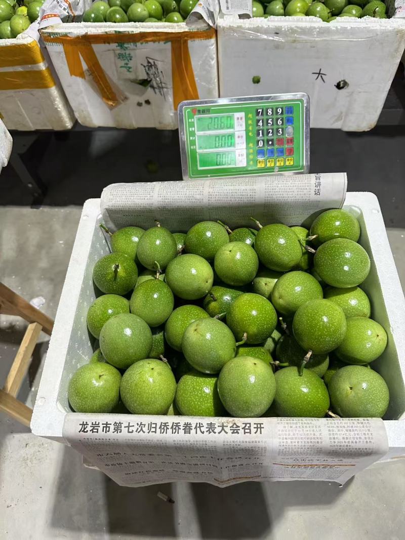 钦蜜九号百香果专注精品百香果