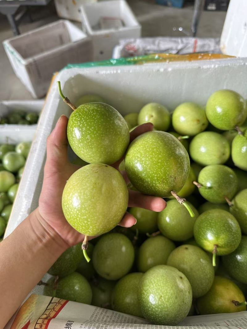 钦蜜九号百香果专注精品百香果