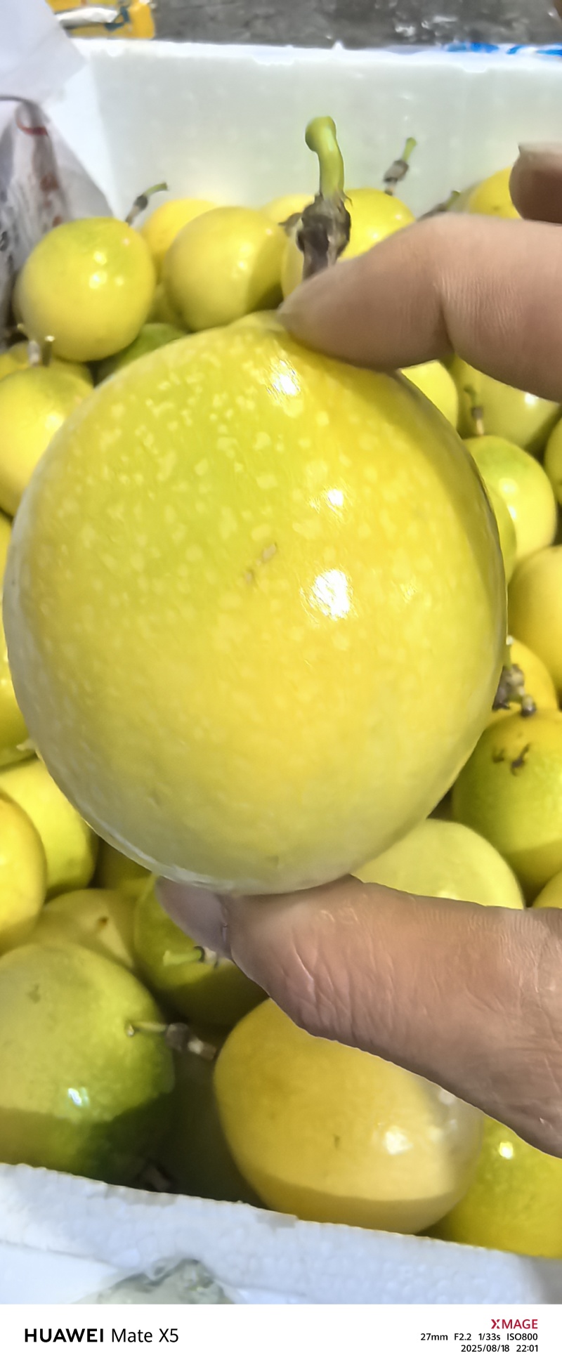 钦蜜九号百香果专注精品百香果